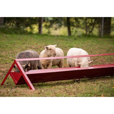 Tarter 8 ft. Goat Trough Feeder