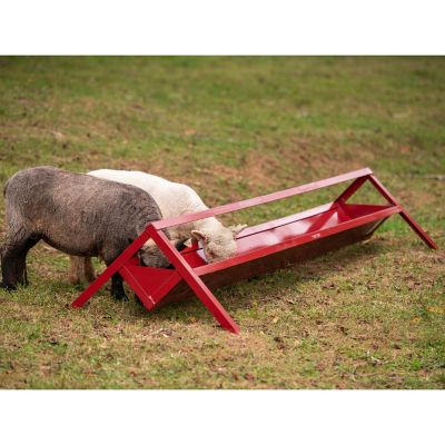 Image showing  8 ft. Goat Trough Feeder