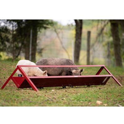 Image showing  8 ft. Goat Trough Feeder
