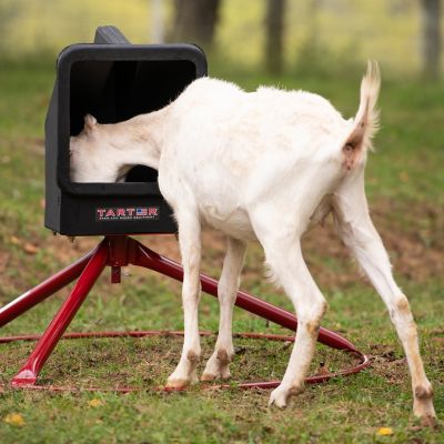 Image showing  50 lb. Small Animal Mineral Feeder