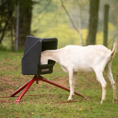 Image showing  50 lb. Small Animal Mineral Feeder