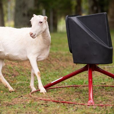 Image showing 5 th Tarter 50 lb. Small Animal Mineral Feeder