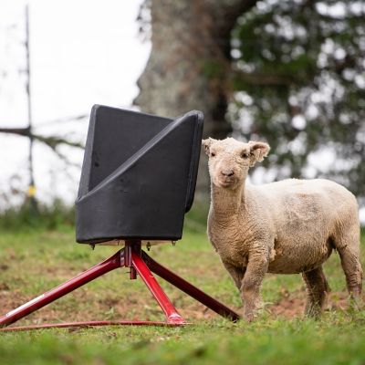 Image showing 7 th Tarter 50 lb. Small Animal Mineral Feeder