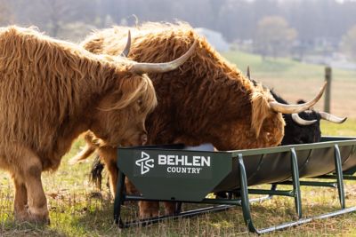 Image showing  11 ft. Standard Bunk