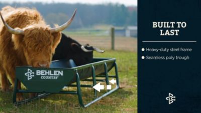 Image showing  11 ft. Standard Bunk