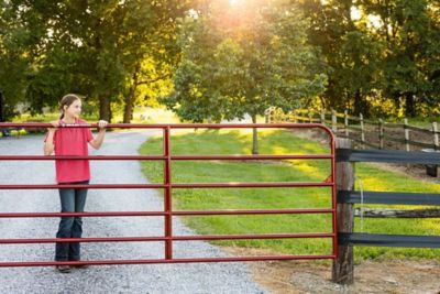 Image showing  10 ft. 1-5/8 in. Utility Round Corner Gate, 40130105