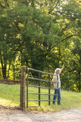 Image showing  16 ft. 1-5/8 in. Utility Round Corner Gate, 40130165