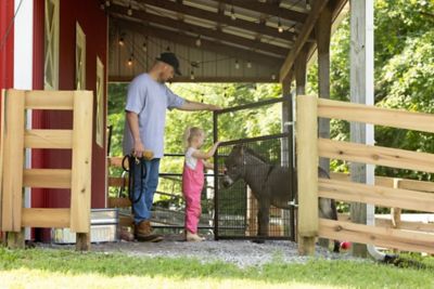 Image showing  36 in. x 50 in. Wire-Filled Corral Gate, Green