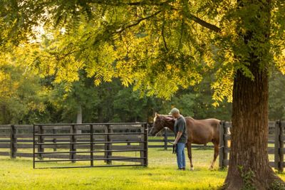 Image showing  12 ft. 1-5/8 in. Utility Square Corner Gate, 40136125