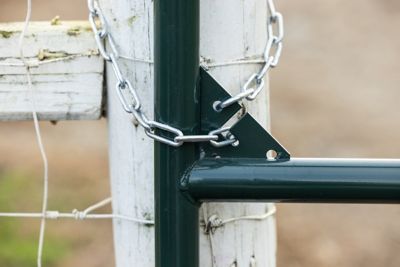 Image showing  6 ft. 2 in. 16 Gauge Collared Hinge Gate, 40162062