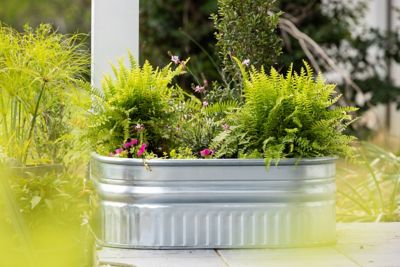 Image showing  60 gal. Shallow Galvanized Square Tank