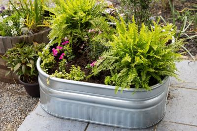 Image showing  60 gal. Shallow Galvanized Square Tank