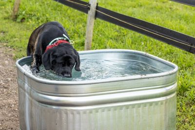 Image showing  120 gal. Galvanized Square Tank