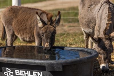 Image showing  300 gal. Rigid Poly Molded Tank, 52123005