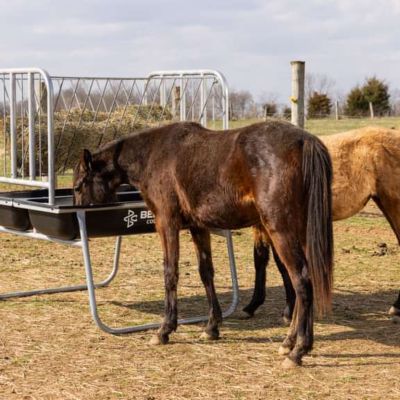 Image showing  Deluxe Horse Feeder