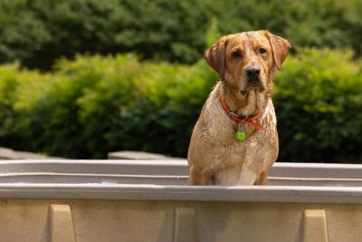 Image showing  2 ft. x 2 ft. x 6 ft. Poly Stock Tank, 52112027GT