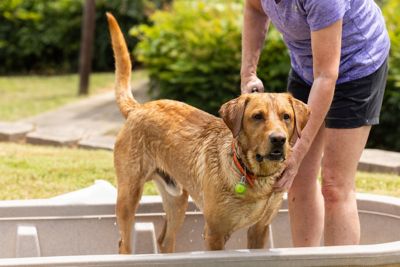 Image showing  125 gal. 2 ft. x 2 ft. x 5 ft. Poly Stock Tank