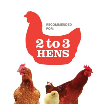 Image showing  Chicken Coop with Nest Box, 2 to 3 Chicken Capacity