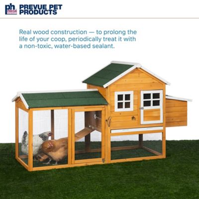 Image showing  Chicken Coop with Nest Box, 2 to 3 Chicken Capacity