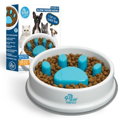 PawPerfect Dog & Cat Slow Feeder Bowl, 16 oz.