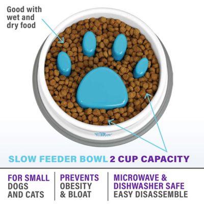 Image showing  Dog & Cat Slow Feeder Bowl, 16 oz.