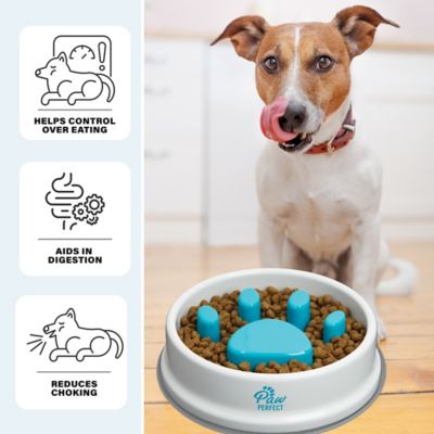 Image showing 5 th PawPerfect Dog & Cat Slow Feeder Bowl, 16 oz.