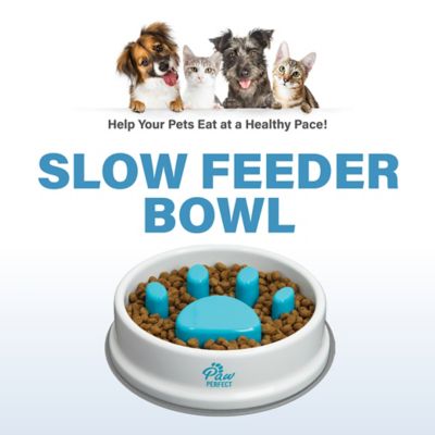 Image showing 6 th PawPerfect Dog & Cat Slow Feeder Bowl, 16 oz.