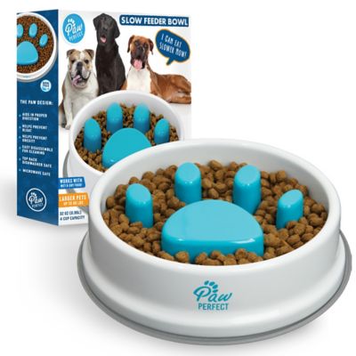 PawPerfect Dog & Cat Slow Feeder Bowl, 32 oz.