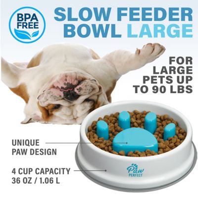 Image showing  32 oz. Slow Feeder Plastic Pet Bowl