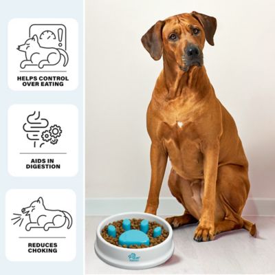 Image showing 5 th PawPerfect 32 oz. Slow Feeder Plastic Pet Bowl