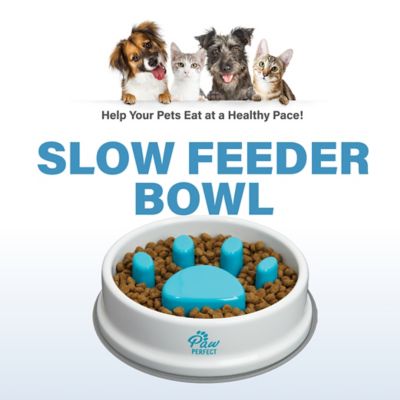 Image showing 6 th PawPerfect 32 oz. Slow Feeder Plastic Pet Bowl