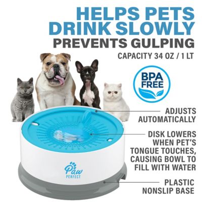 Image showing  1 L Dog and Cat Floating Water Bowl