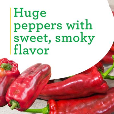 Image showing  Giant Marconi Pepper 19.3 oz., 2 pk., Live Plants