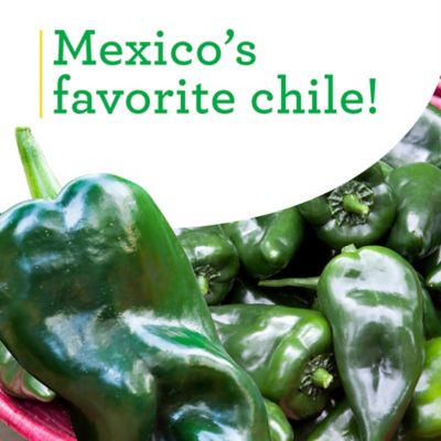 Image showing  Poblano-Ancho Pepper, 19.3 oz., 2 pk.