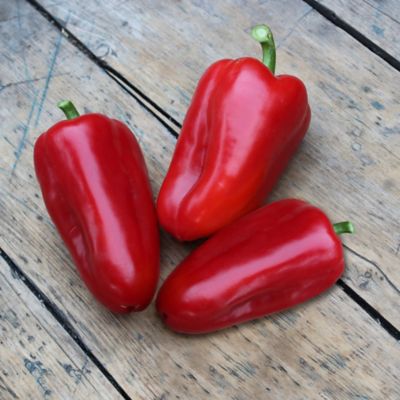 Image showing  Snacking Red Pepper, 19.3 oz., 2 pk.