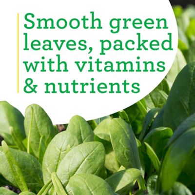 Image showing  19.3 oz. Bonnie's Spinach Plants, 2 pc.