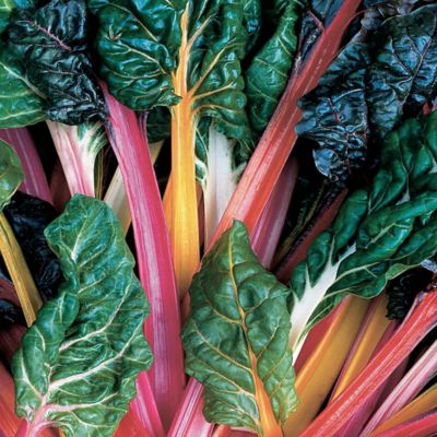 Image showing  Swiss Chard, 19.3 oz., 2 pk.