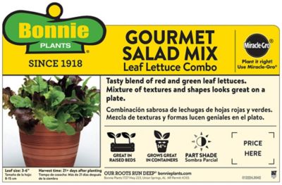 Image showing  Gourmet Salad Mix, 2.32 qt.