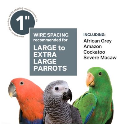 Image showing 6 th Prevue Pet Products Large Play-Top Stainless Steel Bird Cage