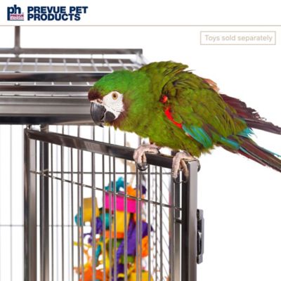 Image showing 7 th Prevue Pet Products Large Play-Top Stainless Steel Bird Cage