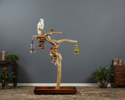 Image showing  Coffeawood Tree Style # 2 Bird Floor Stand