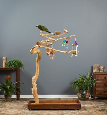 Image showing  Coffeawood Tree Style #2 Floor Bird Tree Stand, Medium