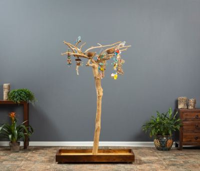 Image showing  Coffeawood Tree Style # 2 Bird Floor Stand, 22623