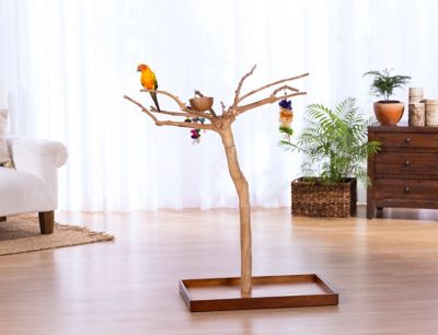 Image showing  Coffeawood Tree Style #2 Floor Stand, Extra Small