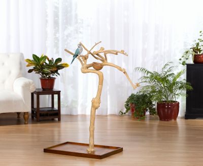 Image showing  Coffeawood Tree Style #2 Floor Stand, Extra Small
