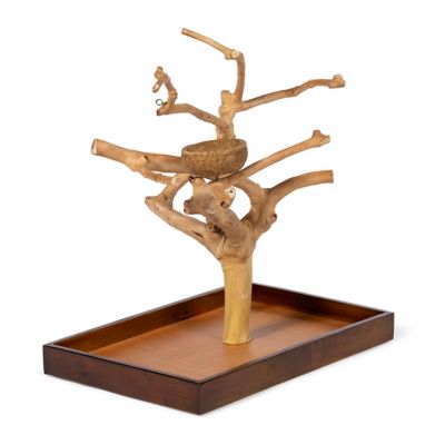 Image showing  Coffeawood Tree Mini Table Top Bird Tree Stand, 22634
