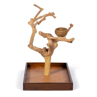 Image showing  Coffeawood Tree Mini Table Top Bird Tree Stand, 22634