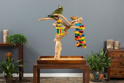 Image showing  Coffeawood Tree Mini Table Top Bird Tree Stand 22635