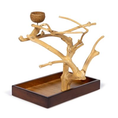 Image showing  Coffeawood Tree Mini Table Top Bird Tree Stand 22633