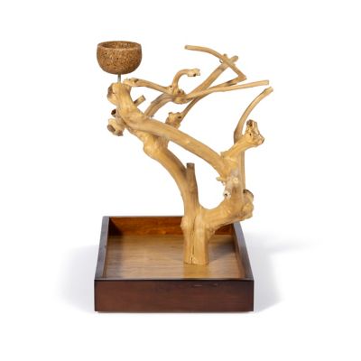 Image showing  Coffeawood Tree Mini Table Top Bird Tree Stand 22633